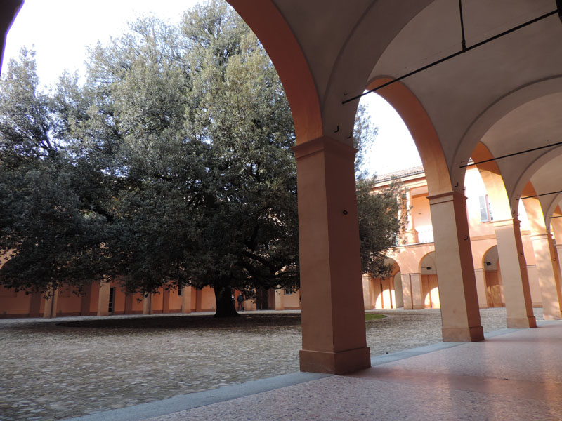 Biblioteca di Giurisprudenza Modena